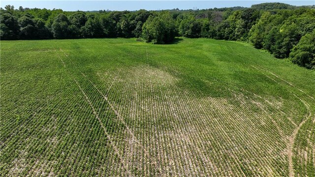 V Rd, Weston, MO 64098 - photo 10