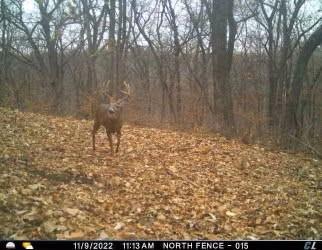 V Rd, Weston, MO 64098 - photo 30