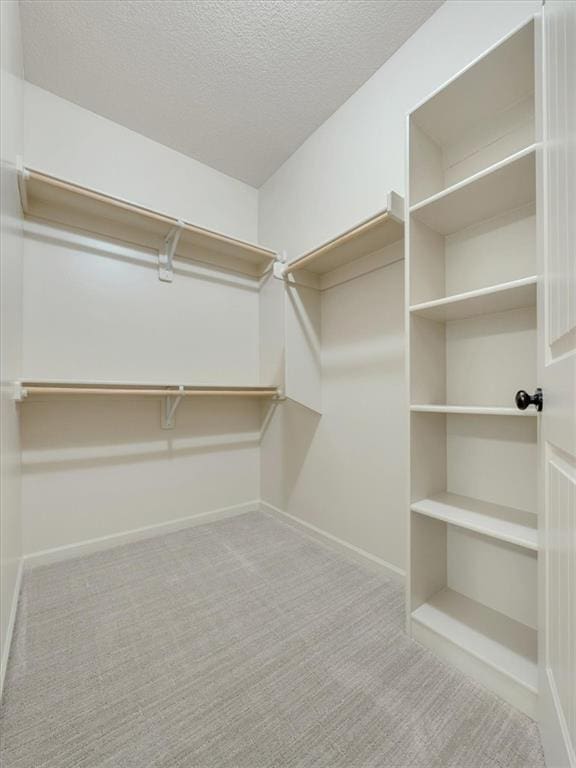 11599 S Carbondale St, Olathe, KS 66061 - walk in closet with carpet flooring
