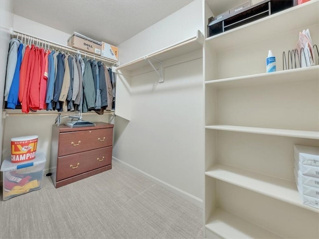 11599 S Carbondale St, Olathe, KS 66061 - spacious closet featuring carpet flooring