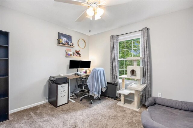1016 SE Claremont St, Lees Summit, MO 64081 - photo 20