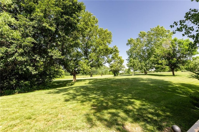 8620 N Eastern Ave, Kansas City, MO 64157 - view of green lawn