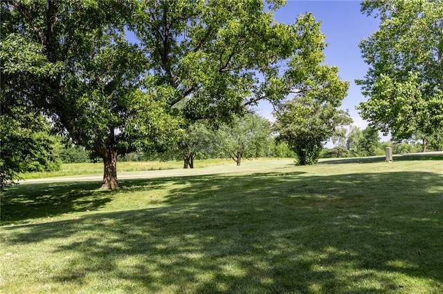 8620 N Eastern Ave, Kansas City, MO 64157 - view of grassy yard