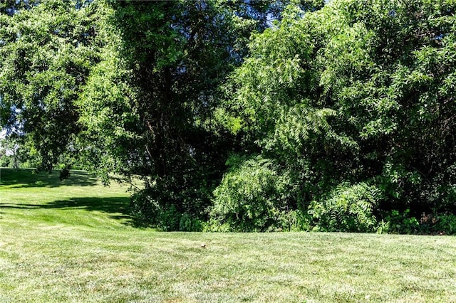 8620 N Eastern Ave, Kansas City, MO 64157 - view of green lawn