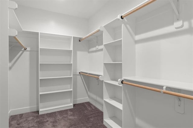 19709 W 198th Ct, Spring Hill, KS 66083 - walk in closet featuring carpet
