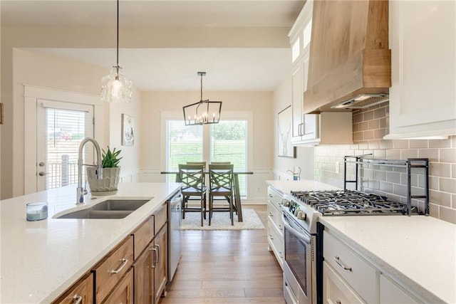 12750 Larkspur Ln, Platte City, MO 64079 - kitchen featuring premium range hood, appliances with stainless steel finishes, wood finished floors, and healthy amount of natural light