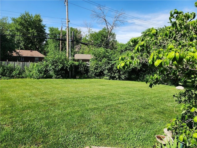 16904 E 36th St S, Independence, MO 64055 - view of yard