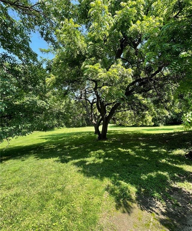 3111 N 35th St, Saint Joseph, MO 64506 - view of green lawn