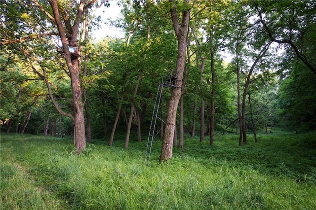 25984 Outer Rd, Mo, MO 64482 - photo 29