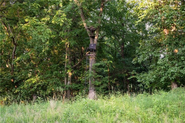 25984 Outer Rd, Mo, MO 64482 - photo 37