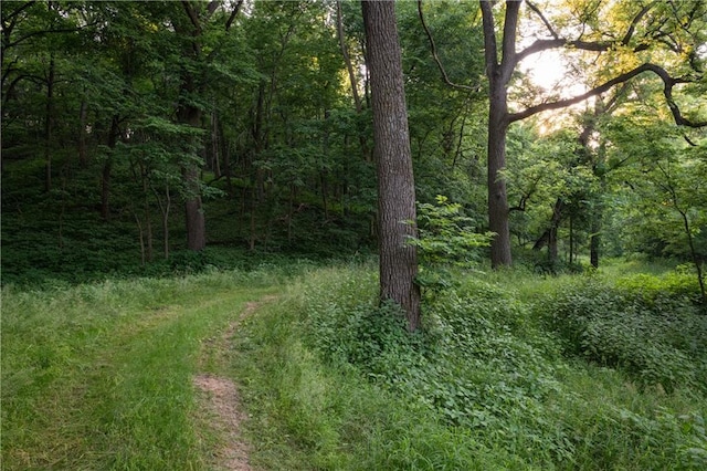 25984 Outer Rd, Mo, MO 64482 - photo 41
