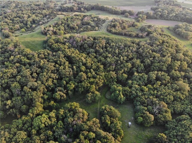 25984 Outer Rd, Mo, MO 64482 - photo 60