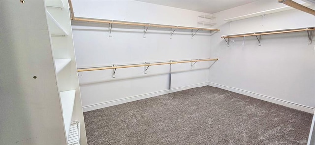 789 Maple Rd, Uniontown, KS 66779 - spacious closet featuring carpet