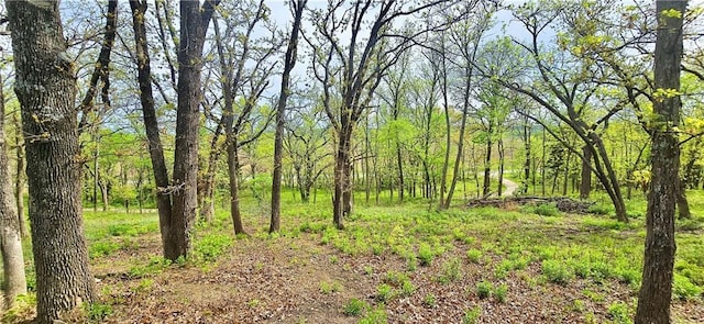 789 Maple Rd, Uniontown, KS 66779 - view of tree filled area