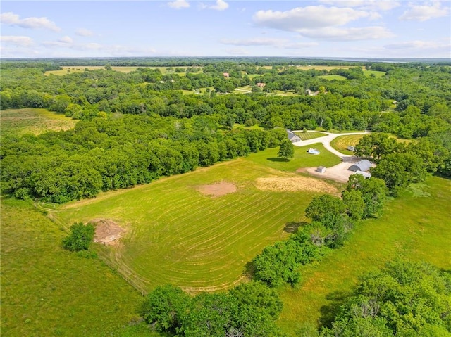 31788 W 223rd St, Spring Hill, KS 66083 - bird's eye view of a heavily wooded area