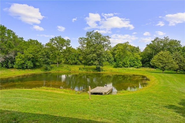 31788 W 223rd St, Spring Hill, KS 66083 - water view with a dock
