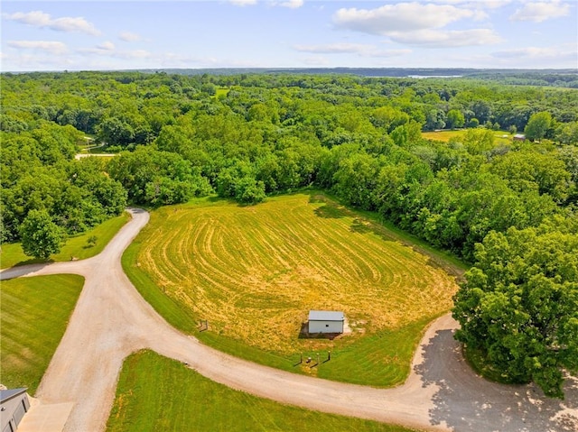 31788 W 223rd St, Spring Hill, KS 66083 - bird's eye view of a forest