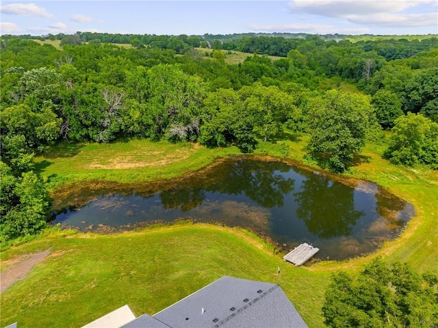 31788 W 223rd St, Spring Hill, KS 66083 - drone / aerial view of a large body of water and a forest