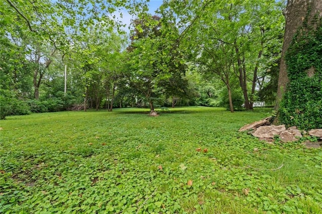 8710 Craig Dr, Overland Park, KS 66212 - view of grassy yard