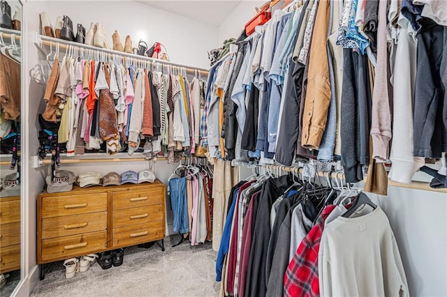 20854 W 190th Pl, Spring Hill, KS 66083 - walk in closet featuring carpet floors
