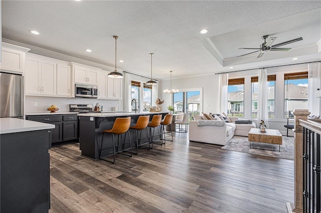 20854 W 190th Pl, Spring Hill, KS 66083 - kitchen featuring appliances with stainless steel finishes, open floor plan, a ceiling fan, a breakfast bar, and light countertops