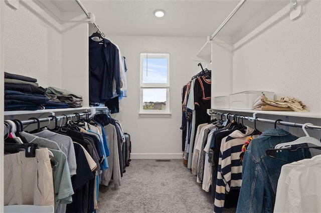 13333 W 180th St, Overland Park, KS 66013 - spacious closet with carpet