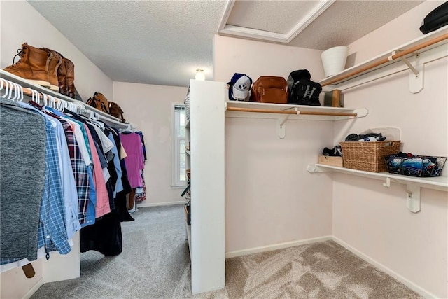 14010 Ash St, Overland Park, KS 66224 - walk in closet featuring carpet floors and attic access