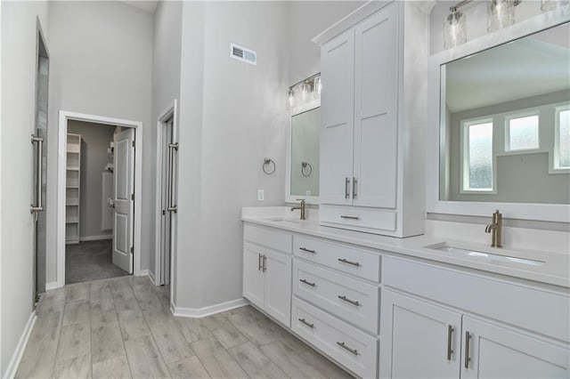 14500 Aurora Ln, Basehor, KS 66007 - bathroom featuring double vanity, a walk in closet, and wood finished floors