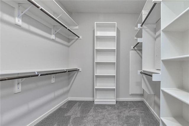 14500 Aurora Ln, Basehor, KS 66007 - spacious closet featuring dark colored carpet