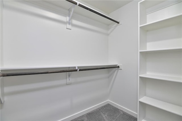 14500 Aurora Ln, Basehor, KS 66007 - spacious closet with carpet flooring