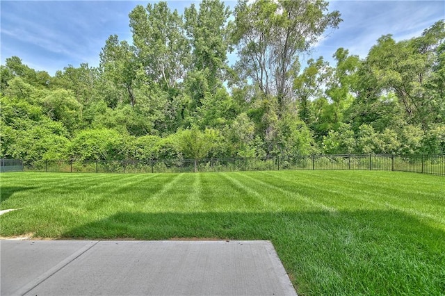 14500 Aurora Ln, Basehor, KS 66007 - view of yard