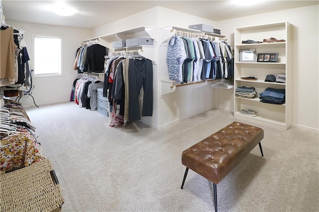 1216 Hillmann Ln, Warrensburg, MO 64093 - walk in closet with carpet flooring