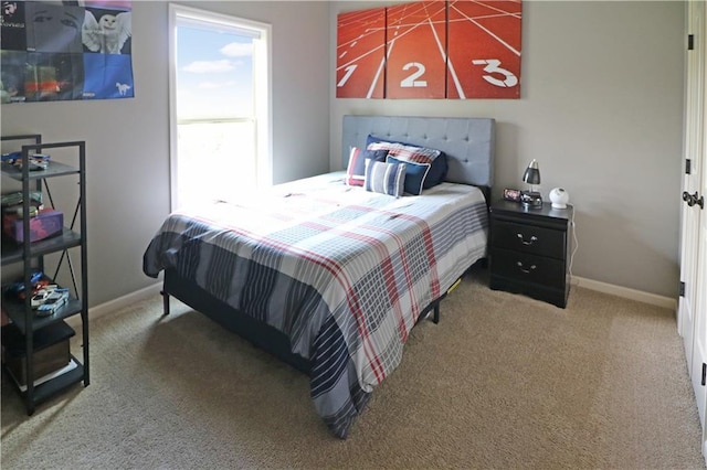 1216 Hillmann Ln, Warrensburg, MO 64093 - bedroom with carpet