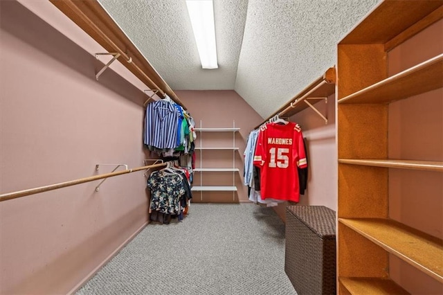 10601 Reeder St, Overland Park, KS 66214 - walk in closet with lofted ceiling and carpet flooring