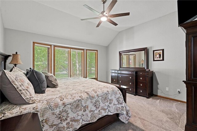 3405 NW Pink Hill Cir, Blue Springs, MO 64015 - photo 20