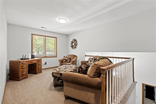 3405 NW Pink Hill Cir, Blue Springs, MO 64015 - photo 29