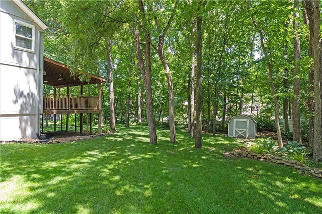 3405 NW Pink Hill Cir, Blue Springs, MO 64015 - photo 41