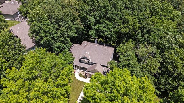3405 NW Pink Hill Cir, Blue Springs, MO 64015 - photo 48