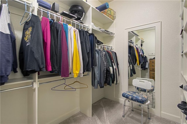 10423 W 168th Ter, Overland Park, KS 66221 - spacious closet featuring carpet flooring
