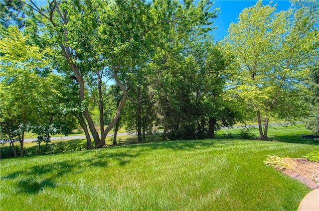 10423 W 168th Ter, Overland Park, KS 66221 - view of yard