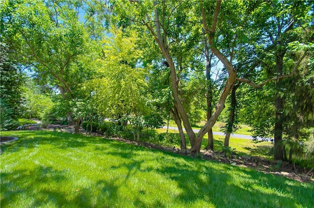 10423 W 168th Ter, Overland Park, KS 66221 - view of grassy yard