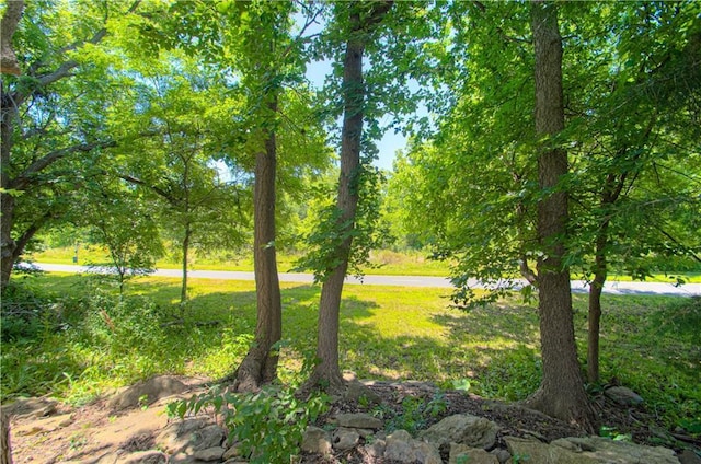 10423 W 168th Ter, Overland Park, KS 66221 - view of grassy yard