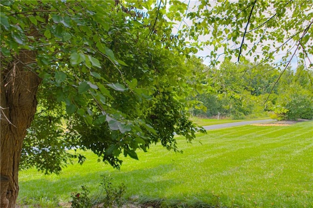 10423 W 168th Ter, Overland Park, KS 66221 - photo 40