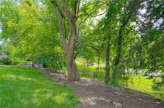 10423 W 168th Ter, Overland Park, KS 66221 - photo 41