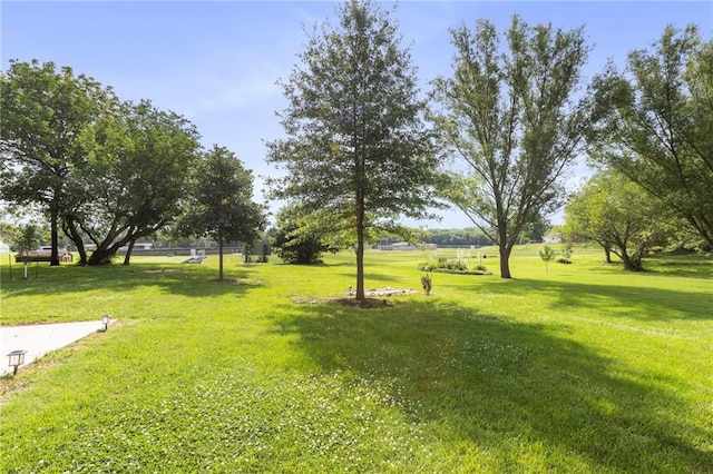 1125 S Mulberry St, Ottawa, KS 66067 - view of grassy yard