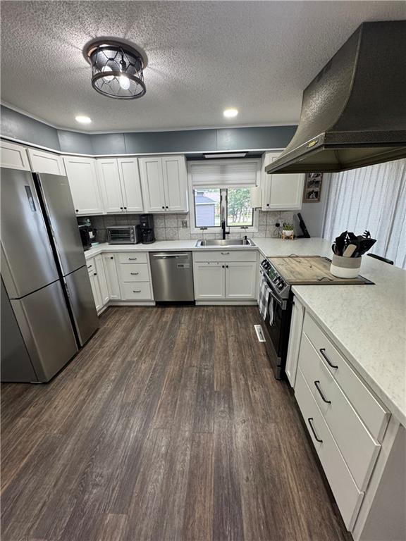 109 W 3rd St, Stanberry, MO 64489 - kitchen with appliances with stainless steel finishes, extractor fan, dark wood-style flooring, light countertops, and white cabinets