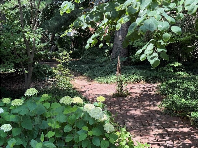 222 W Gay St, Warrensburg, MO 64093 - view of nature
