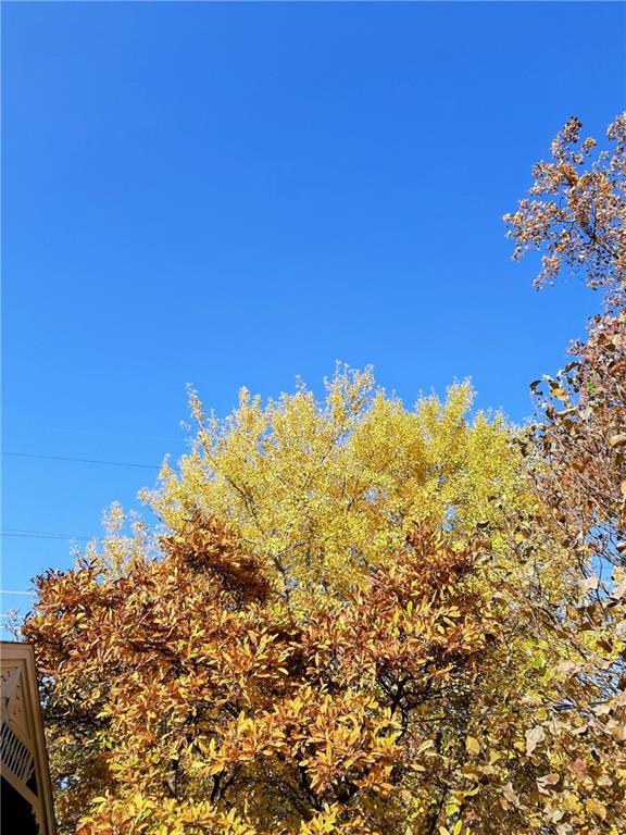 222 W Gay St, Warrensburg, MO 64093 - photo 78