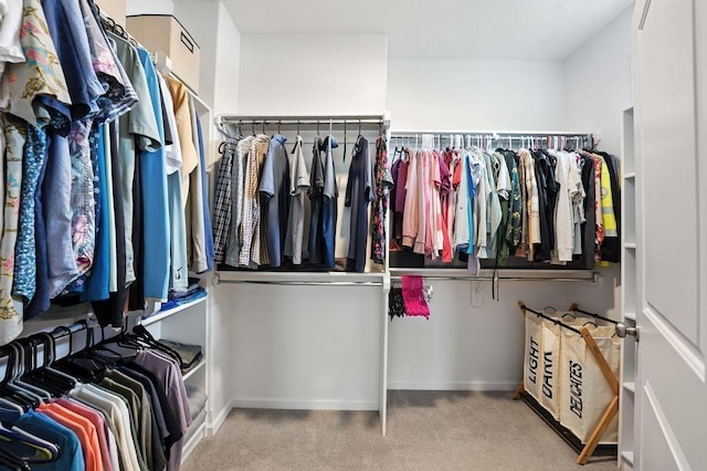 16486 S Chalet Dr, Olathe, KS 66062 - spacious closet with carpet floors