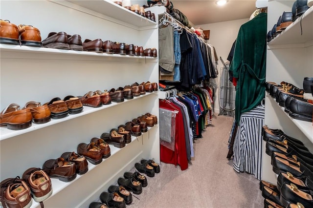 1301 NE 123rd St, Kansas City, MO 64165 - walk in closet with carpet floors
